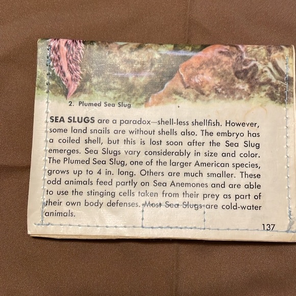 Mugwump coin purse - Picture 2 of 2